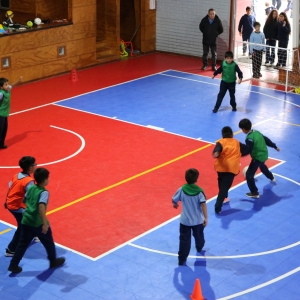 Día de la Actividad Física